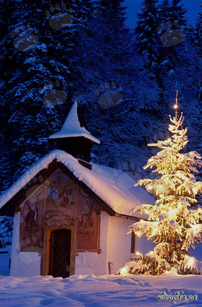 Noël idyllique dans les Alpes bavaroises