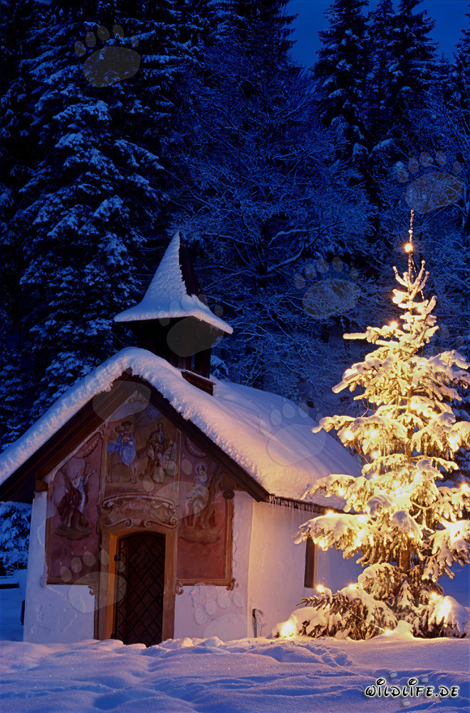 Idyllische Weihnachten in den bayerischen Alpen
