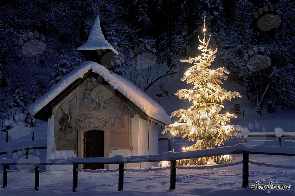Ambiance de Noël contemplative dans l'ancienne chapelle