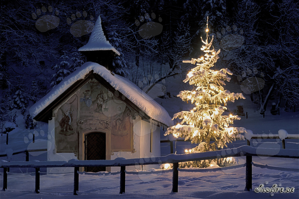 Ambiente navideño contemplativo en la antigua capilla