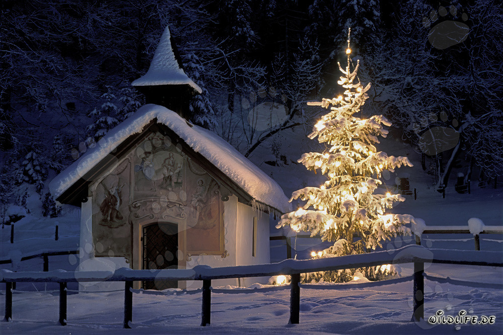 Besinnliche Weihnachtsstimmung in der alten Kapelle