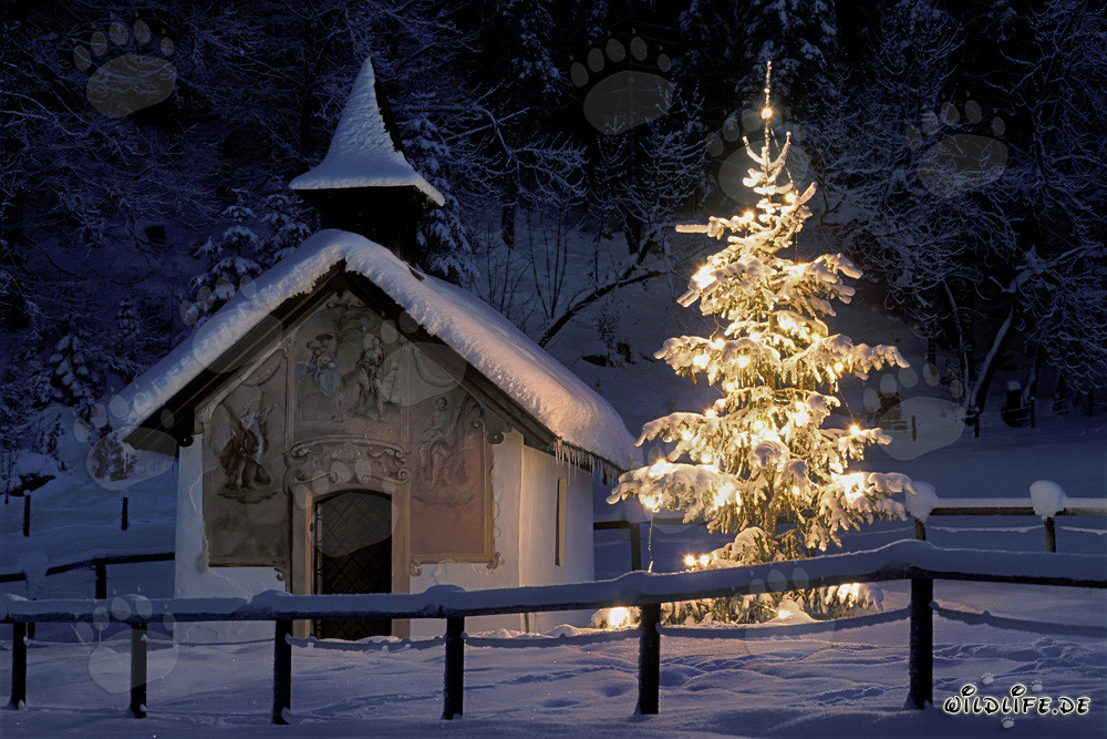 Reflective Christmas Atmosphere in the Old Chapel