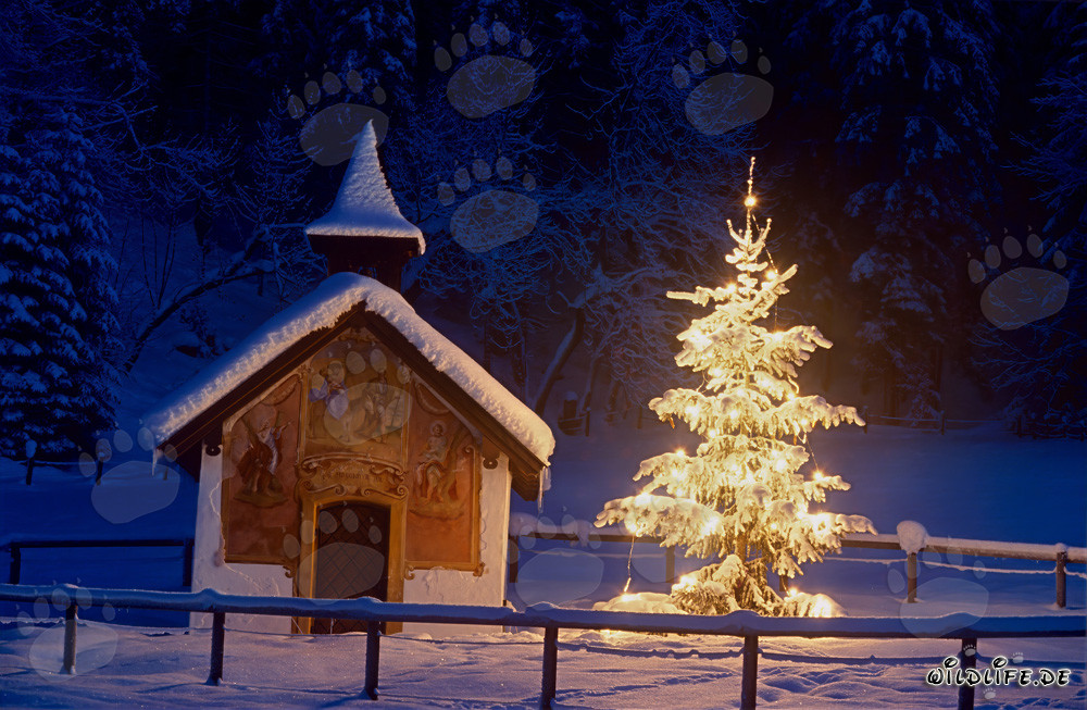 Idyllic Christmas Chapel in the Bavarian Alps