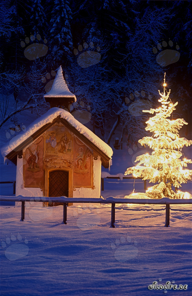 Idyllic Mountain Chapel in Winter Snow