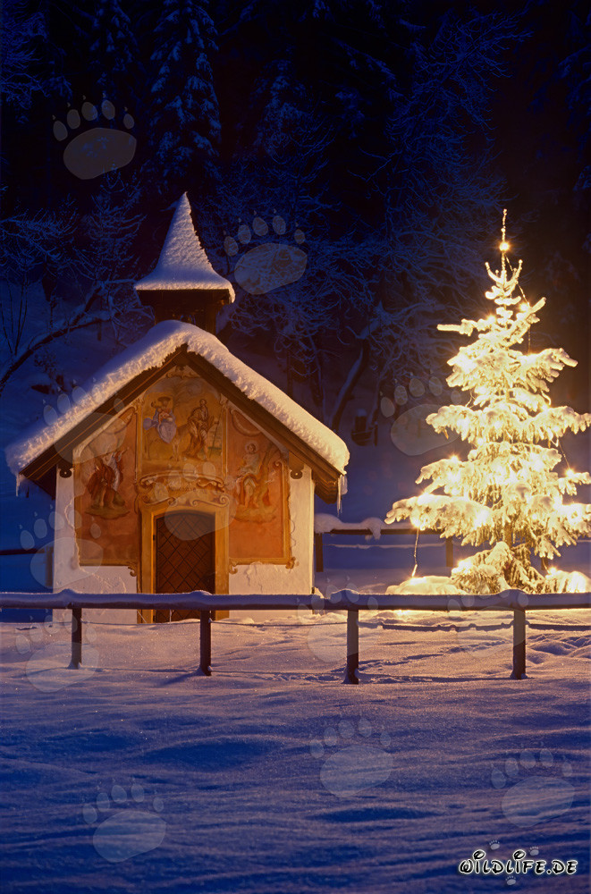 Ambiance de Noël contemplative dans les montagnes bavaroises