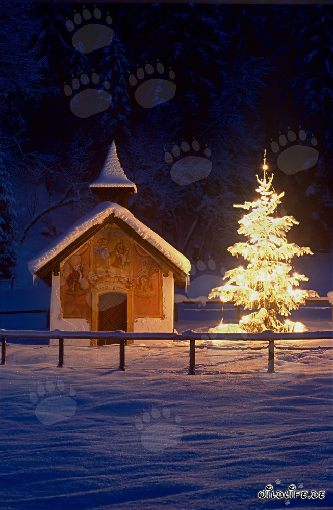 Noël paisible dans les montagnes bavaroises