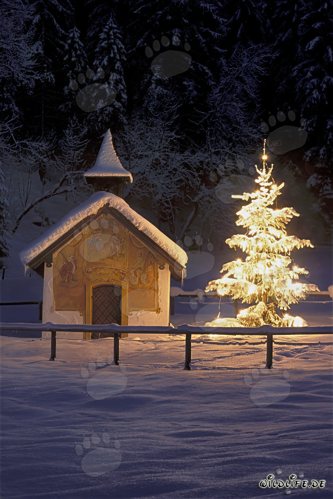 Capilla romántica en Baviera invernal con árbol de Navidad festivo