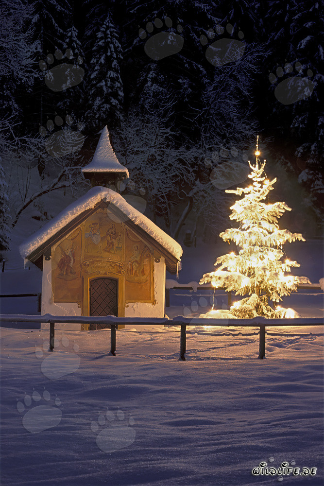 Cappella romantica in Baviera invernale con albero di Natale festoso