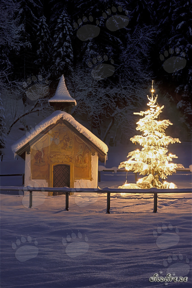 Romantic chapel in wintry Bavaria with a festive Christmas tree
