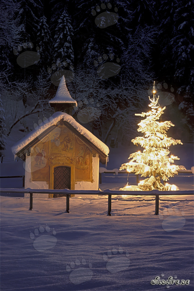 Chapelle romantique en Bavière hivernale avec sapin de Noël festif