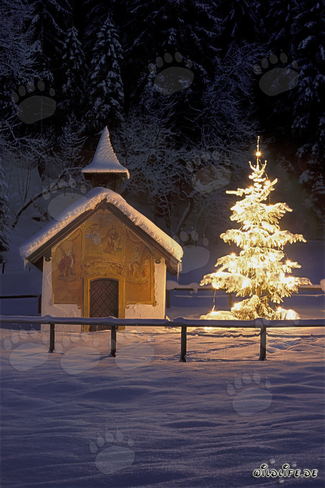 Romantische Kapelle im winterlichen Bayern mit festlichem Weihnachtsbaum