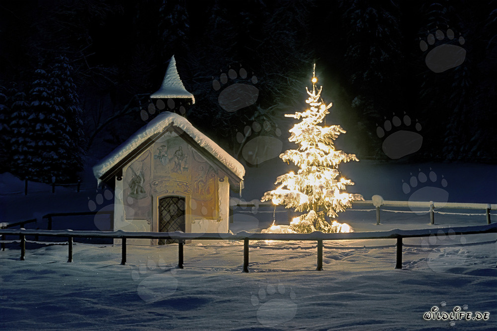 Natale in montagna - cappella e albero di Natale in un paesaggio invernale