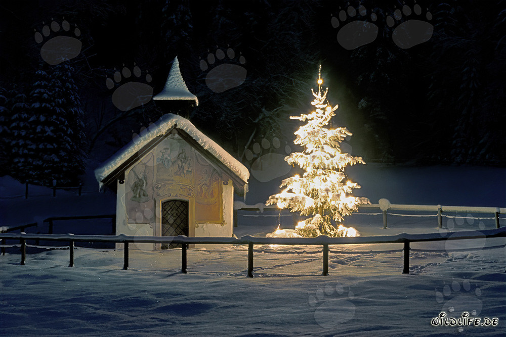 Navidad en las montañas - capilla y árbol de Navidad en un paisaje invernal