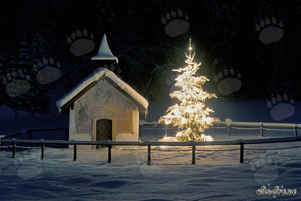 Noël dans les montagnes - chapelle et sapin dans un paysage hivernal