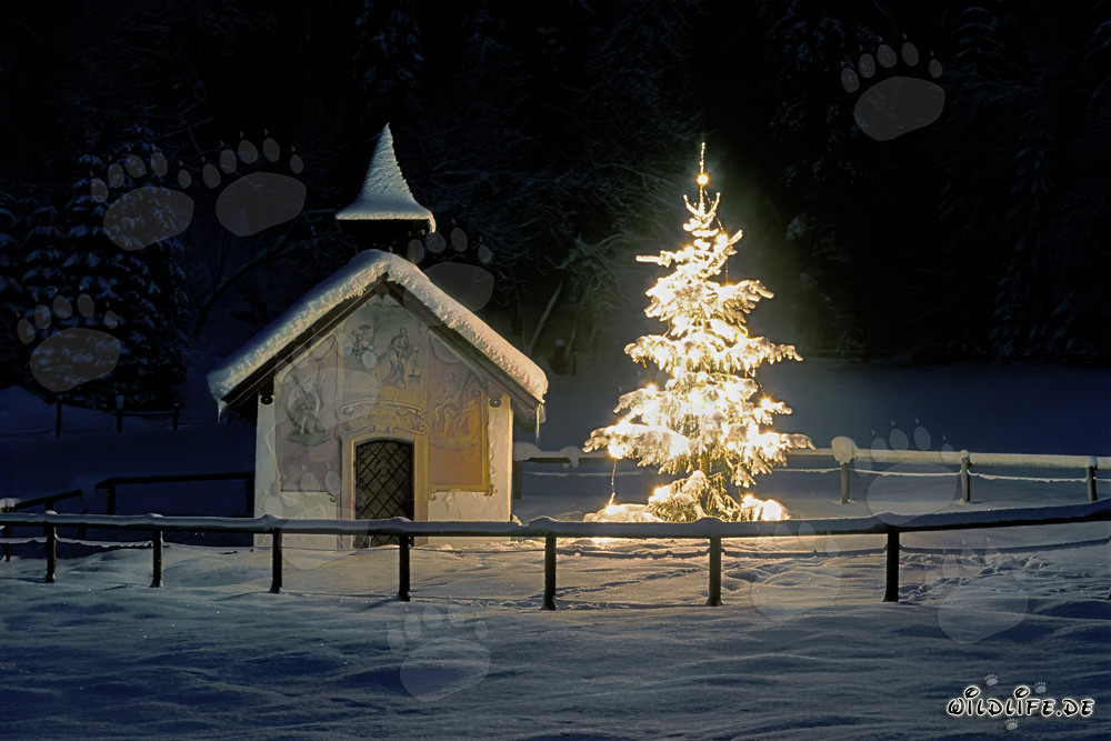 Weihnachten in den Bergen - Kapelle und Tannenbaum in winterlicher Landschaft