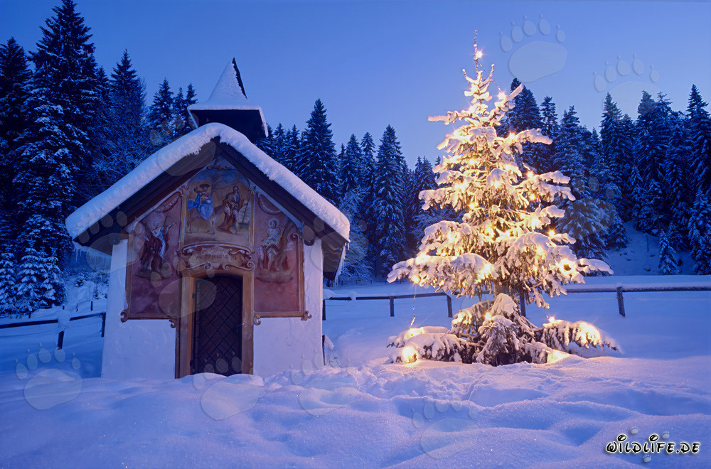 Paysage hivernal idyllique dans les Alpes bavaroises
