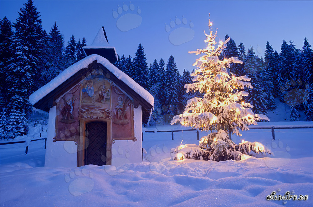 Idyllische Winterlandschaft in den bayerischen Alpen