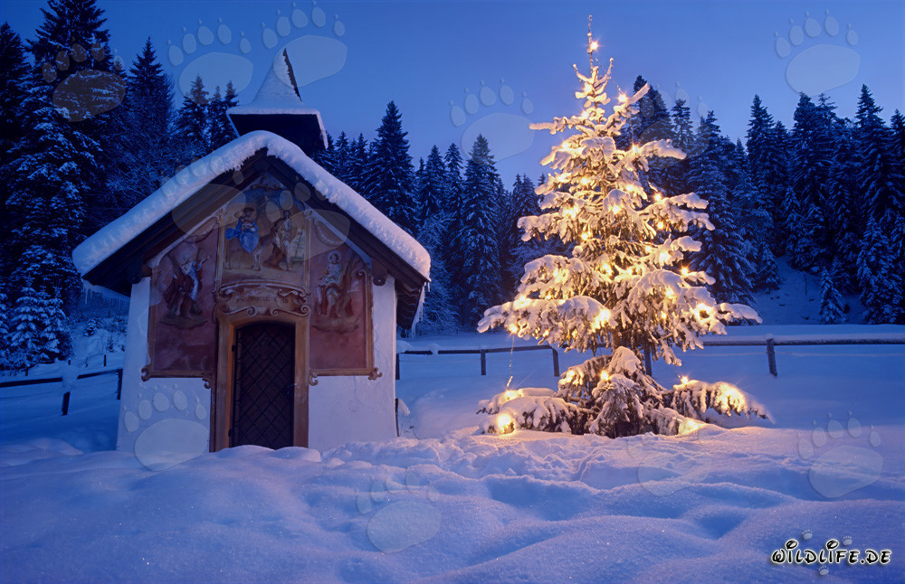 Navidad en las montañas de Werdenfelser Land: Capilla idílica