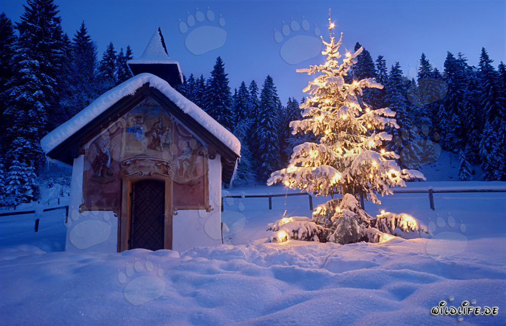 Noël dans les montagnes de Werdenfelser Land : Chapelle idyllique