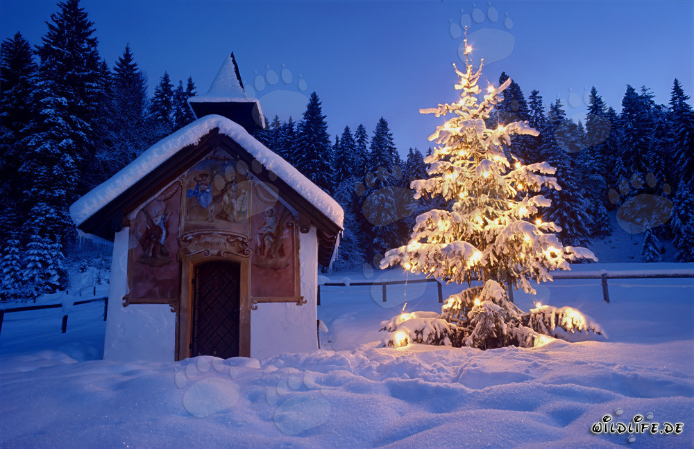 Ambiente mágico de Navidad en los Alpes bávaros
