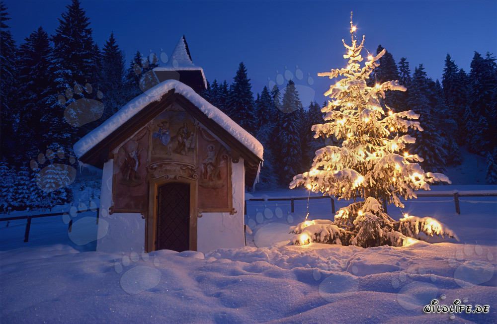 Natale sereno nelle Alpi bavaresi