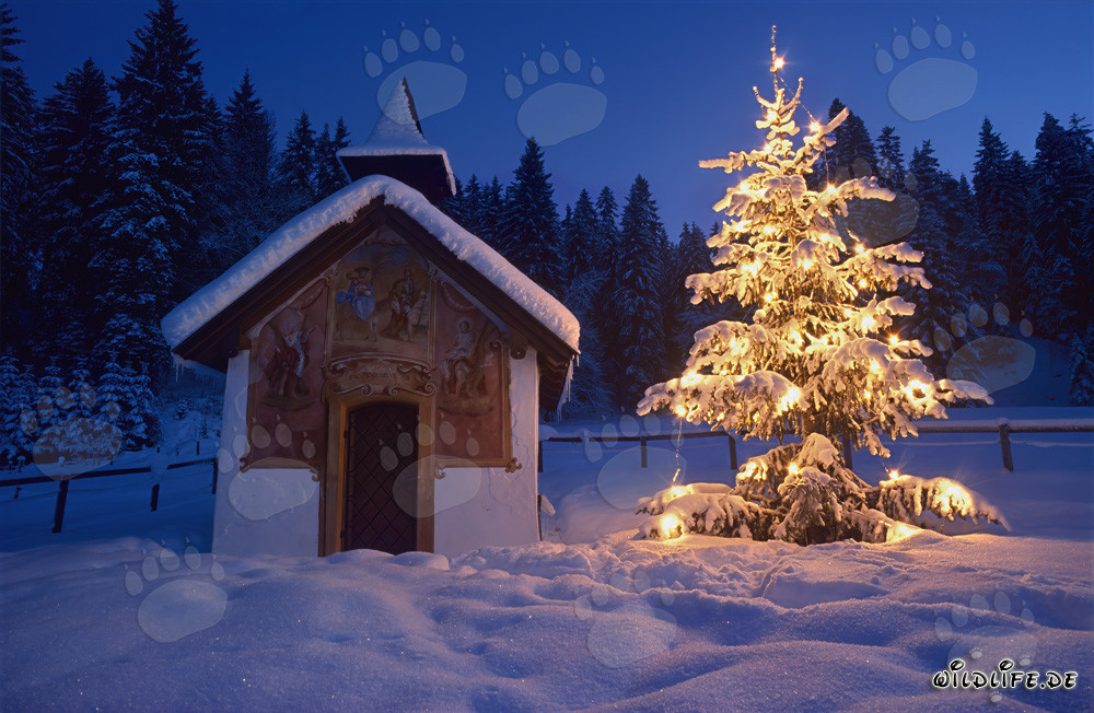 Noël paisible dans les Alpes bavaroises
