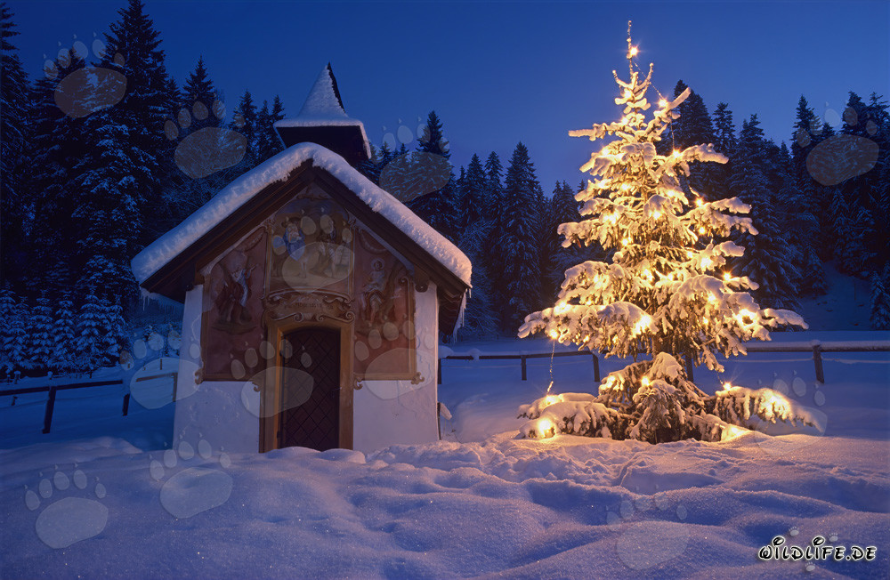 Besinnliche Weihnachten in den bayerischen Alpen