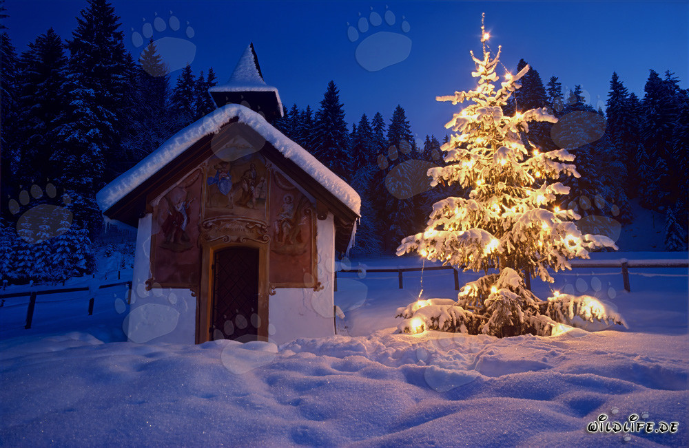 Chapelle de Noël romantique dans les Alpes bavaroises