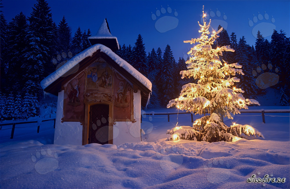 Romantic Christmas Chapel in the Bavarian Alps