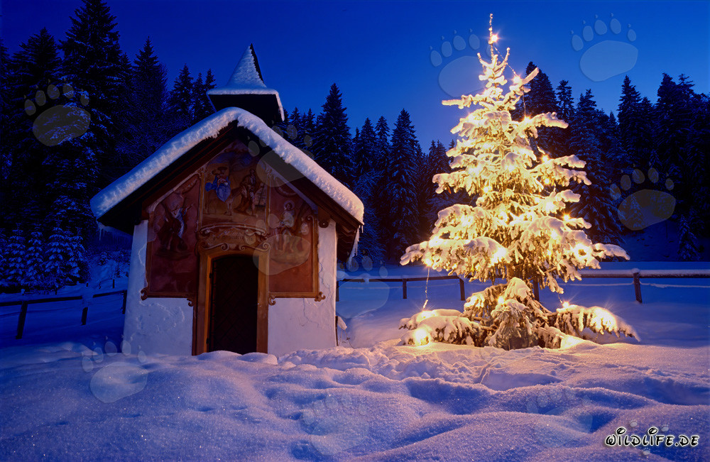 Contemplative Christmas in the Bavarian Mountains