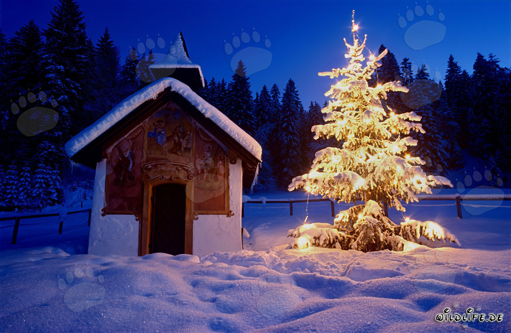 Noël paisible dans les montagnes bavaroises