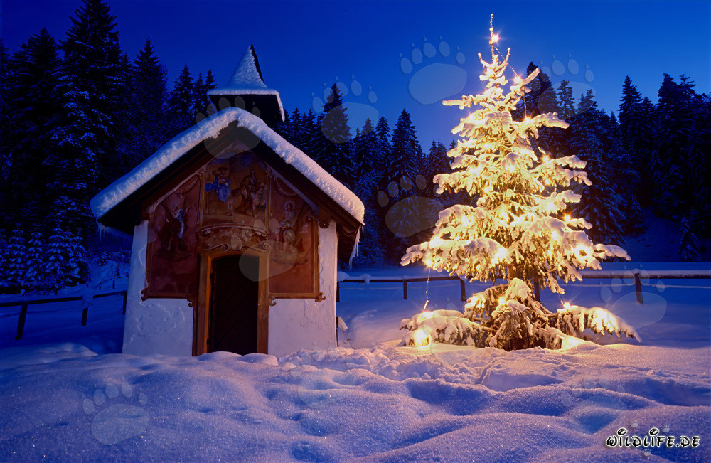 Besinnliche Weihnachten in den bayerischen Bergen
