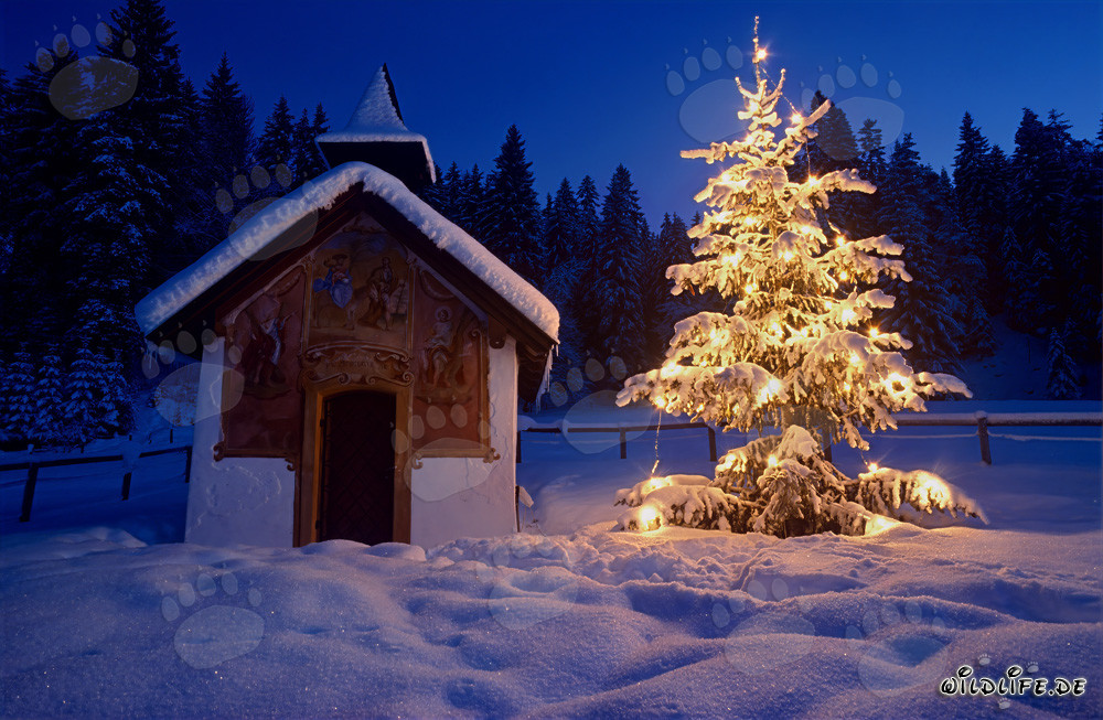 Natale suggestivo nelle Alpi Bavarese