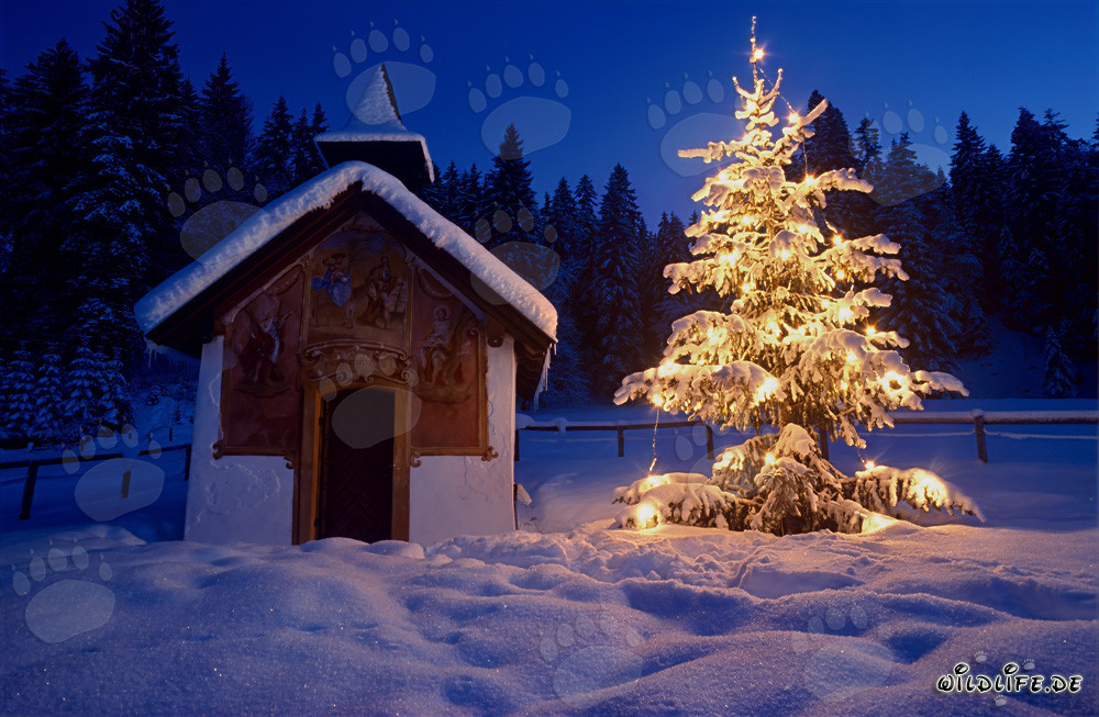 Navidad atmosférica en los Alpes bávaros