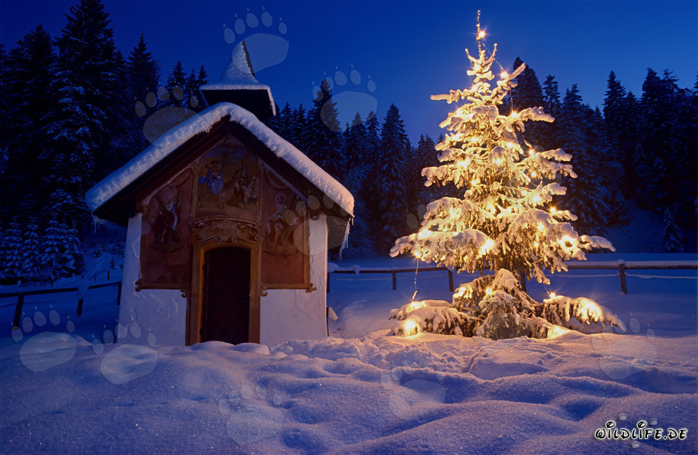 Noël atmosphérique dans les Alpes bavaroises