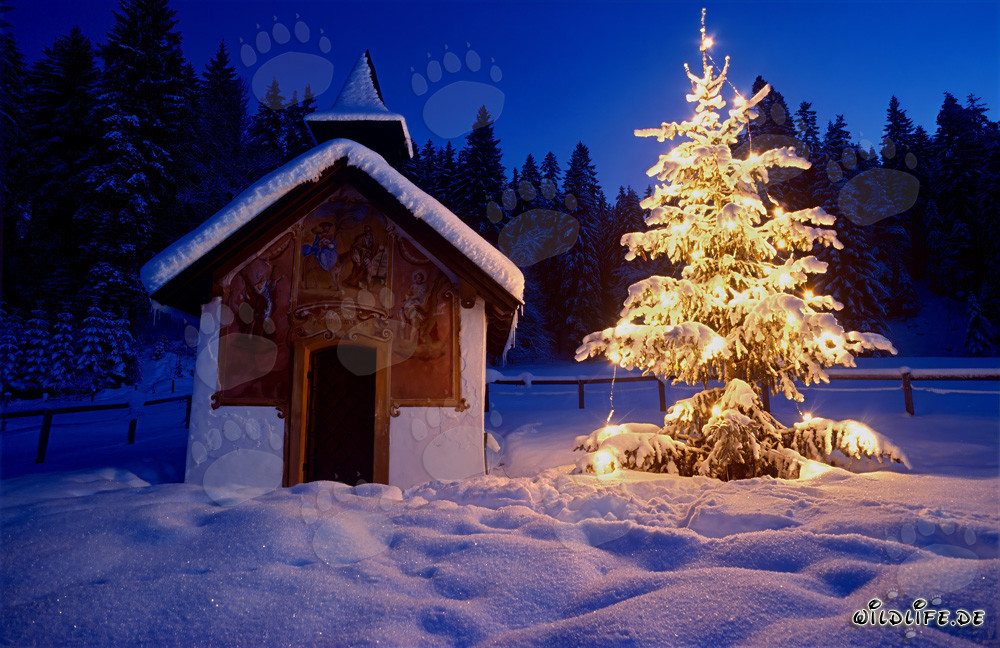 Navidad atmosférica en los Alpes bávaros