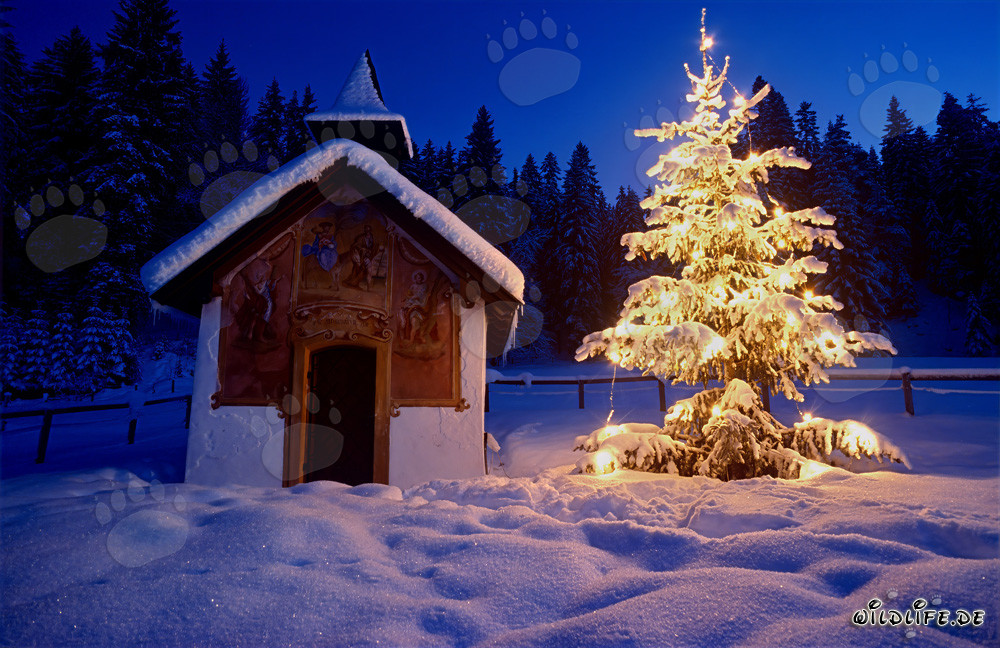 Noël atmosphérique dans les montagnes bavaroises