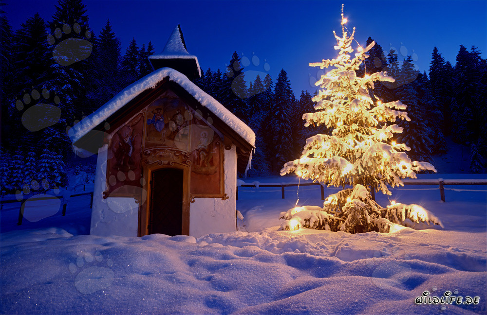 Stimmungsvolles Weihnachten in den bayerischen Bergen