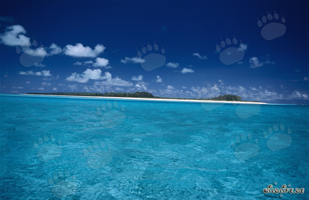 Lagon idyllique sur Midway Atoll dans le Pacifique Sud