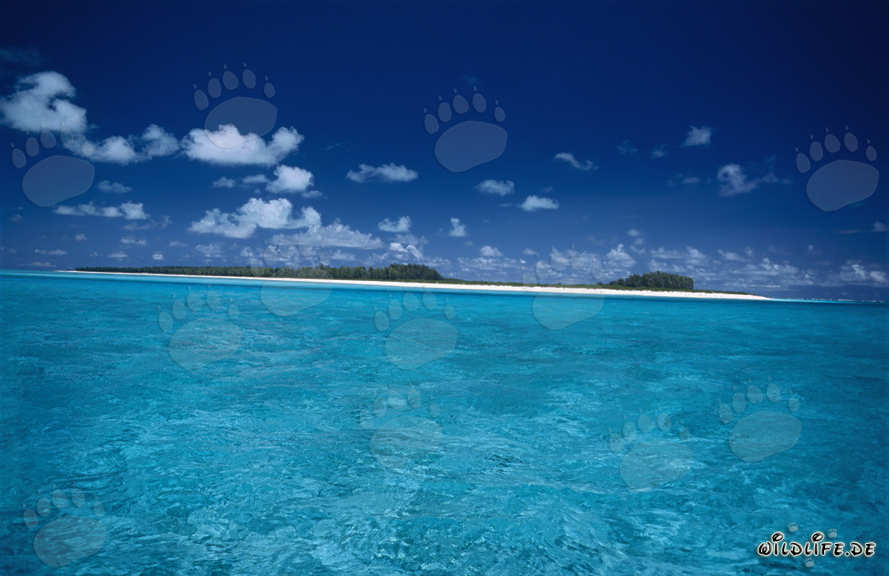 Idyllic Lagoon on Midway Atoll in the South Pacific