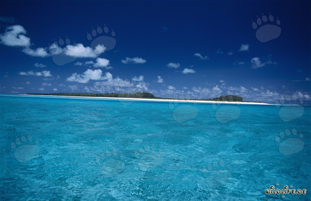 Idyllische Lagune auf Midway Atoll in der Südsee