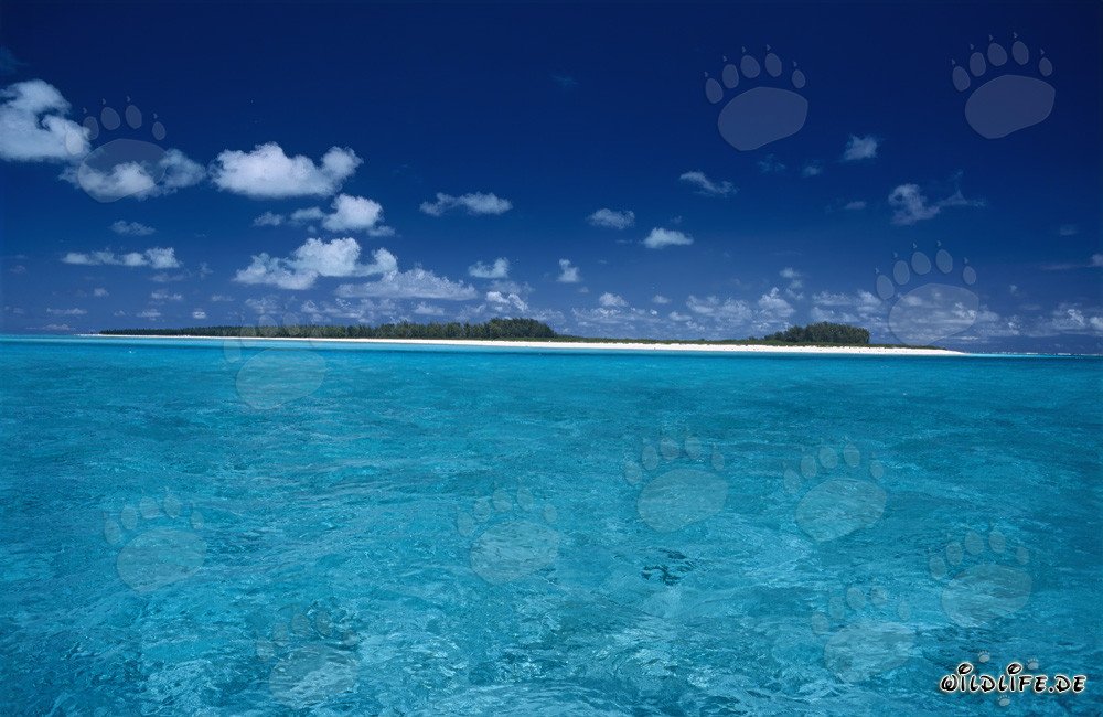 Idyllic Midway lagoon with dreamy island scenery