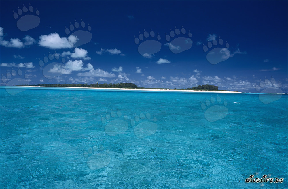 Idyllic Midway Lagoon with Crystal Clear Water
