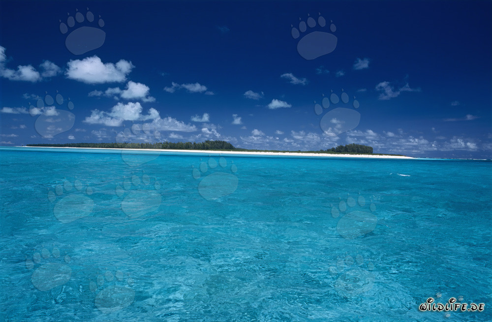 Idilliaco laguna di Midway con acqua cristallina