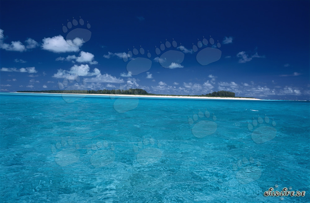 Lagon idyllique de Midway avec une eau cristalline