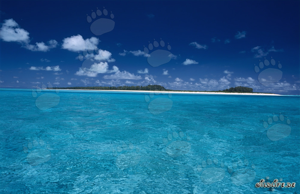 Lagon de rêve dans l'atoll isolé de Midway, Hawaï, États-Unis