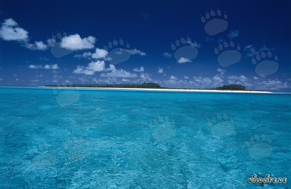 Dreamy lagoon in the remote Midway Atoll, Hawaii, USA