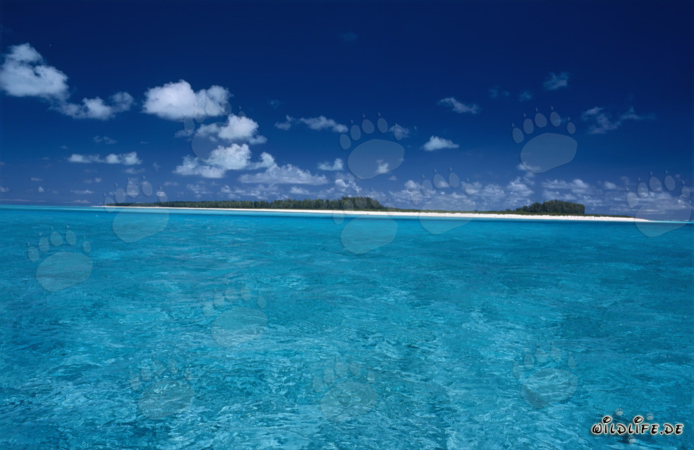 Laguna de ensueño en el remoto Atolón de Midway, Hawái, Estados Unidos