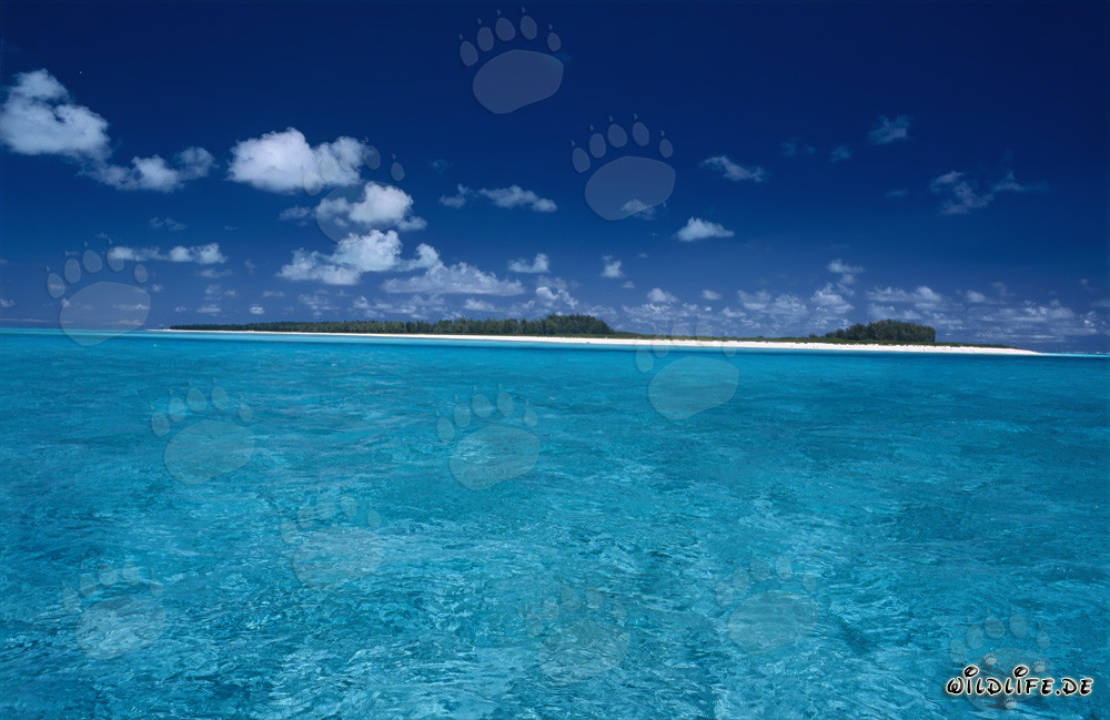 Traumhafte Lagune im entlegenen Midway Atoll, Hawaii, USA