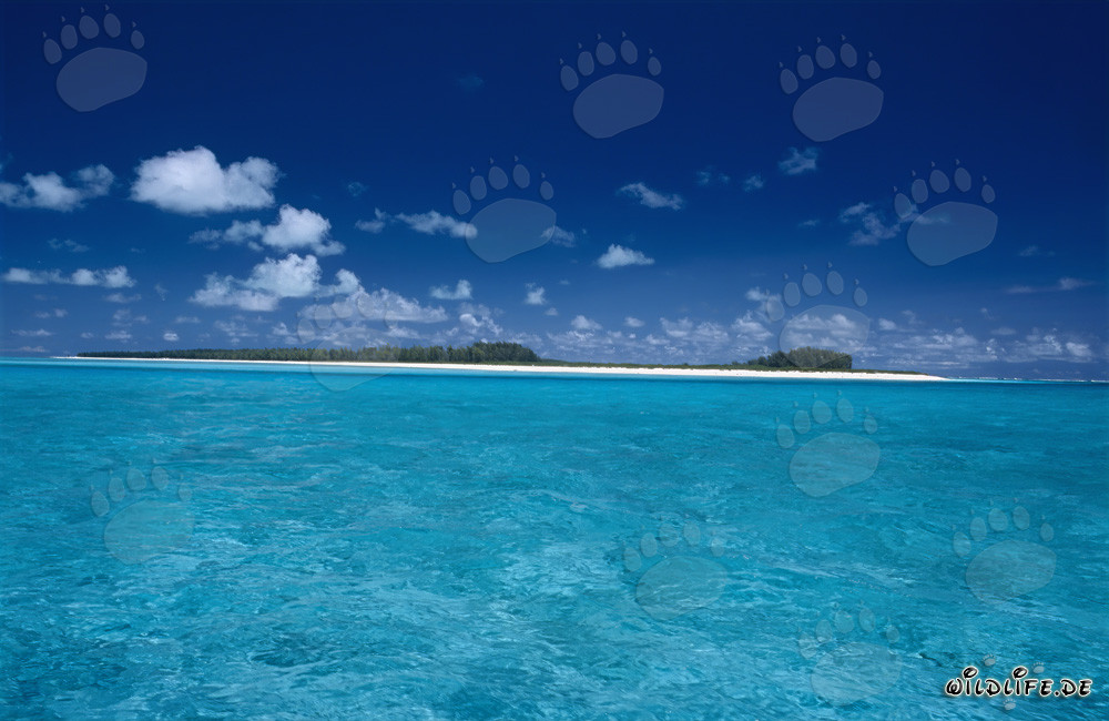 Dreamy lagoon scenery on Midway Atoll, Hawaii, USA